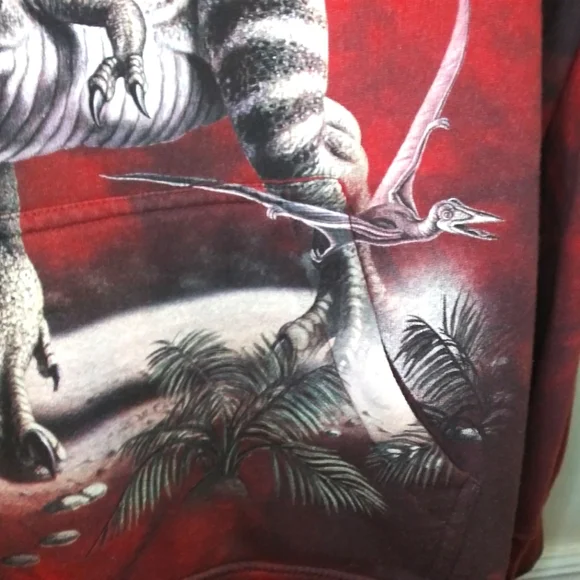 The Mountain Dinosaur Red & Black Tie Dyed Saint Louis Zoo Souvenir Hoodie - Picture 4 of 10